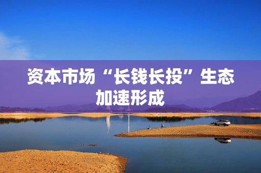 资本市场“长钱长投”生态加速形成