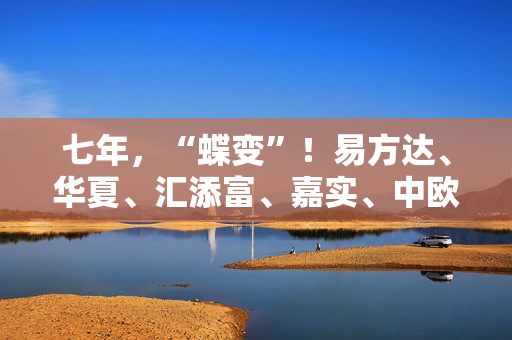 七年，“蝶变”！易方达、华夏、汇添富、嘉实、中欧等集体发声