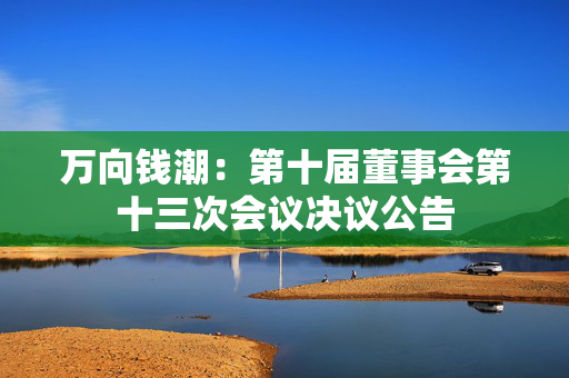 万向钱潮：第十届董事会第十三次会议决议公告 第1张