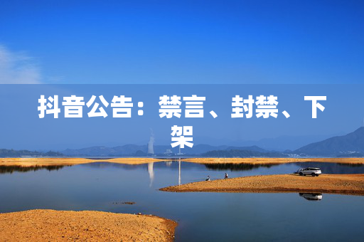 抖音公告:禁言、封禁、下架 第1张 抖音公告:禁言、封禁、下架 第1张