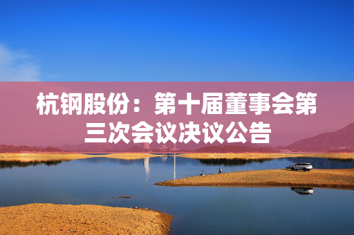 杭钢股份：第十届董事会第三次会议决议公告 第1张