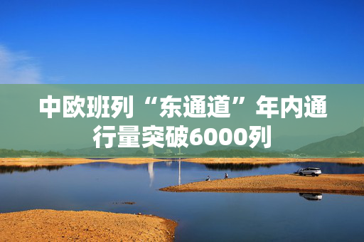 中欧班列“东通道”年内通行量突破6000列