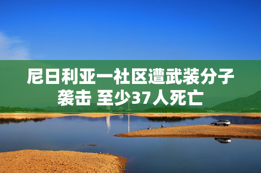 尼日利亚一社区遭武装分子袭击 至少37人死亡