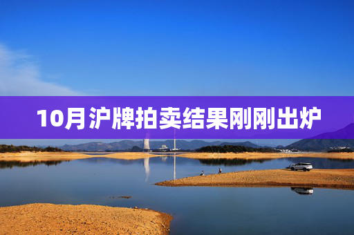 10月沪牌拍卖结果刚刚出炉