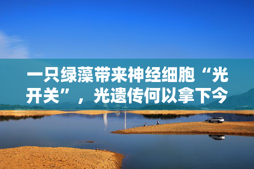 一只绿藻带来神经细胞“光开关”，光遗传何以拿下今年诺奖第一奖？