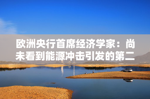 欧洲央行首席经济学家：尚未看到能源冲击引发的第二轮通胀效应