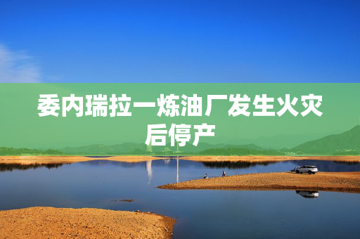 委内瑞拉一炼油厂发生火灾后停产 第1张