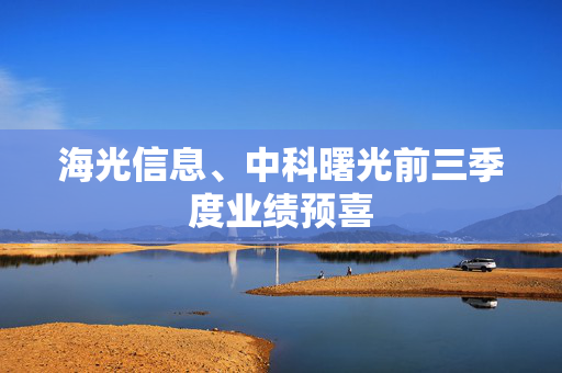 海光信息、中科曙光前三季度业绩预喜 第1张 海光信息、中科曙光前三季度业绩预喜 第1张