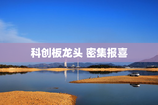 科创板龙头 密集报喜