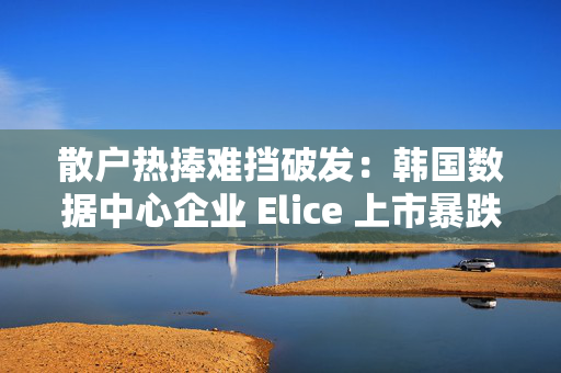 散户热捧难挡破发：韩国数据中心企业 Elice 上市暴跌 32% 第1张