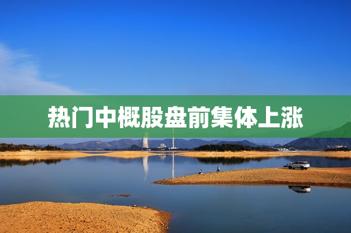热门中概股盘前集体上涨
