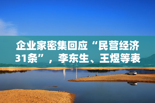 企业家密集回应“民营经济31条”，李东生、王煜等表态