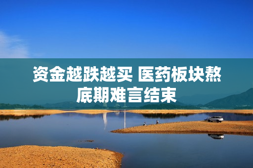 资金越跌越买 医药板块熬底期难言结束