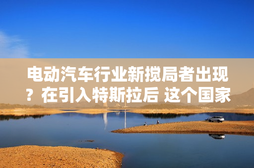 电动汽车行业新搅局者出现？在引入特斯拉后 这个国家欲“栽桐引凤”