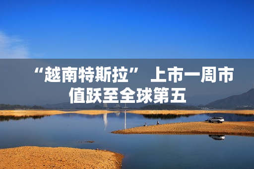 “越南特斯拉” 上市一周市值跃至全球第五