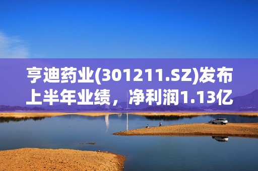 亨迪药业(301211.SZ)发布上半年业绩，净利润1.13亿元，增长107.80%