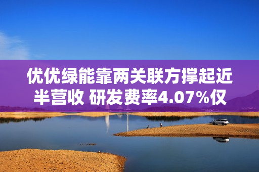优优绿能靠两关联方撑起近半营收 研发费率4.07%仅为同行均值一半