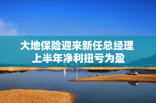 大地保险迎来新任总经理 上半年净利扭亏为盈
