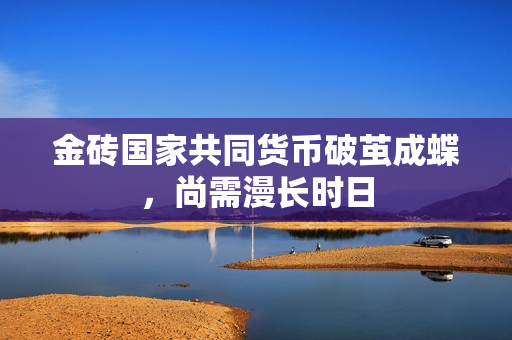金砖国家共同货币破茧成蝶，尚需漫长时日