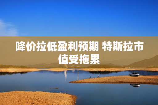 降价拉低盈利预期 特斯拉市值受拖累
