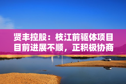 贤丰控股：枝江前驱体项目目前进展不顺，正积极协商相关推进方案