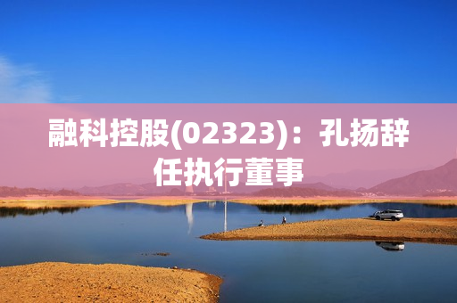 融科控股(02323)：孔扬辞任执行董事