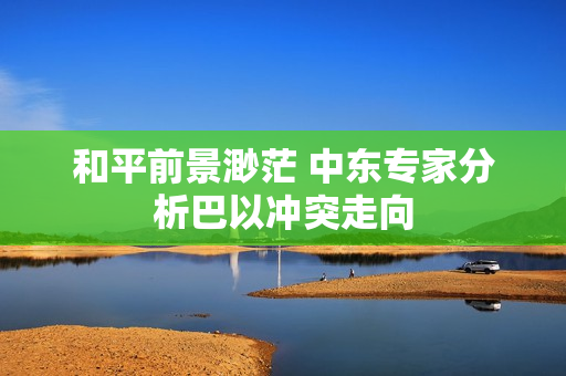 和平前景渺茫 中东专家分析巴以冲突走向