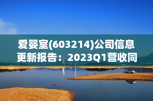 爱婴室(603214)公司信息更新报告：2023Q1营收同比-11.4%承压 利润端有所改善