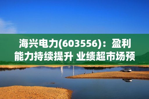 海兴电力(603556)：盈利能力持续提升 业绩超市场预期 第1张