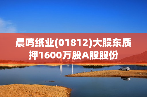晨鸣纸业(01812)大股东质押1600万股A股股份