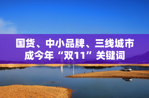 国货、中小品牌、三线城市成今年“双11”关键词 第1张