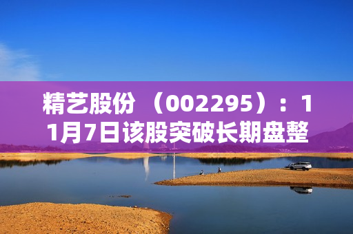 精艺股份 （002295）：11月7日该股突破长期盘整