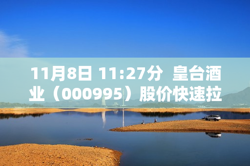11月8日 11:27分  皇台酒业（000995）股价快速拉升 第1张