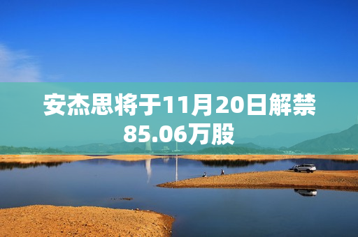 安杰思将于11月20日解禁85.06万股