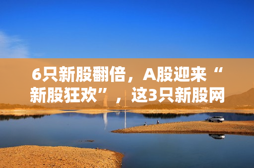 6只新股翻倍，A股迎来“新股狂欢”，这3只新股网上申购！ 第1张