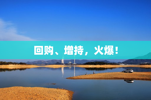 回购、增持，火爆！ 第1张