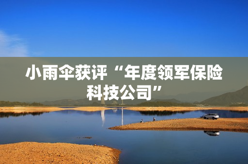 小雨伞获评“年度领军保险科技公司”