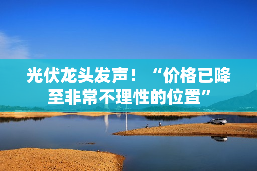 光伏龙头发声！“价格已降至非常不理性的位置”