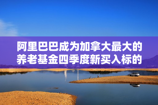 阿里巴巴成为加拿大最大的养老基金四季度新买入标的 第1张