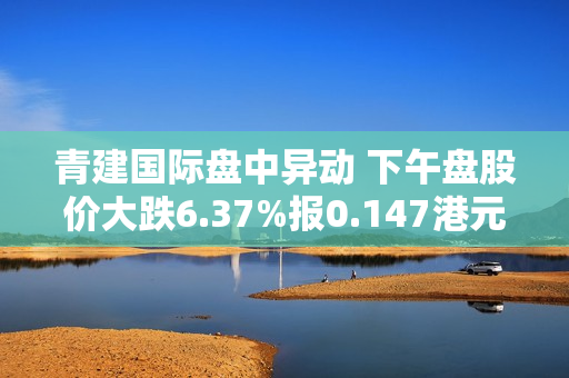 青建国际盘中异动 下午盘股价大跌6.37%报0.147港元