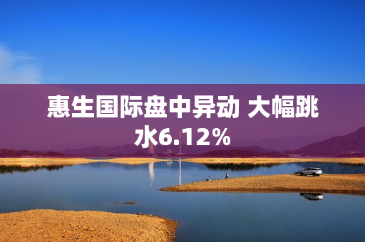 惠生国际盘中异动 大幅跳水6.12%