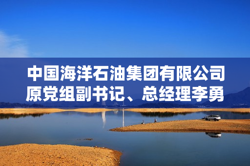 中国海洋石油集团有限公司原党组副书记、总经理李勇接受审查调查