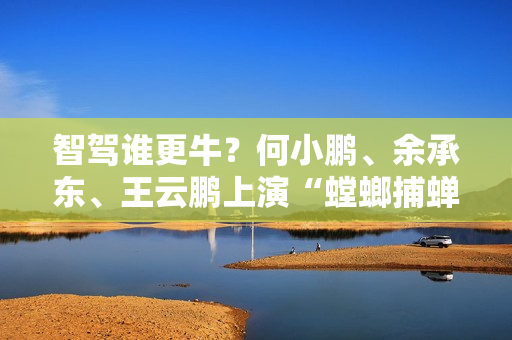 智驾谁更牛？何小鹏、余承东、王云鹏上演“螳螂捕蝉、黄雀在后” 第1张