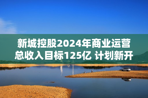新城控股2024年商业运营总收入目标125亿 计划新开12座吾悦广场 第1张