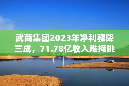 武商集团2023年净利骤降三成，71.78亿收入难掩挑战，派现计划亮相