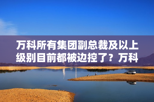 万科所有集团副总裁及以上级别目前都被边控了？万科回应