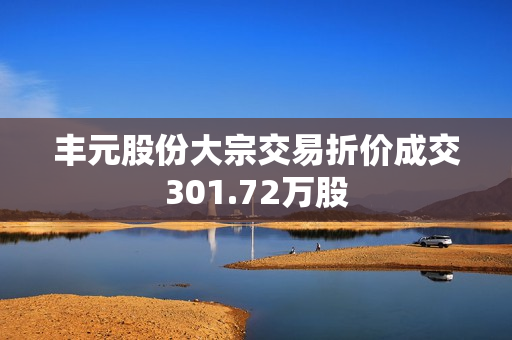 丰元股份大宗交易折价成交301.72万股 第1张