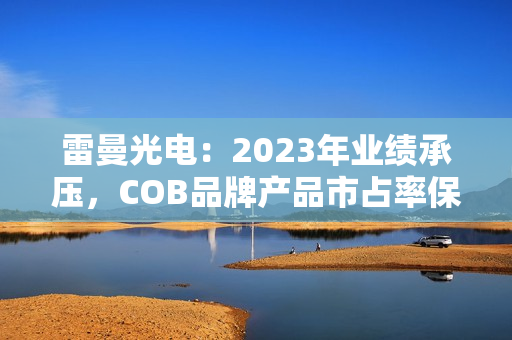 雷曼光电：2023年业绩承压，COB品牌产品市占率保持第一 第1张