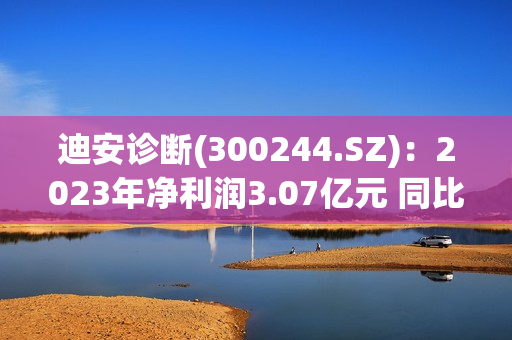 迪安诊断(300244.SZ)：2023年净利润3.07亿元 同比下降78.56% 第1张