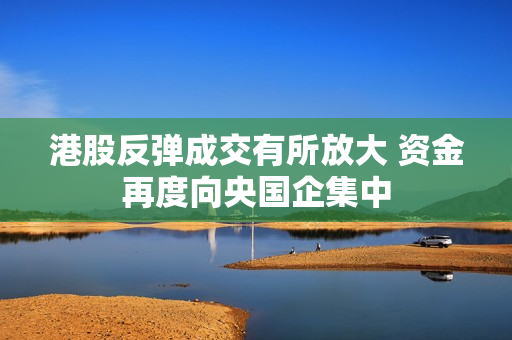 港股反弹成交有所放大 资金再度向央国企集中